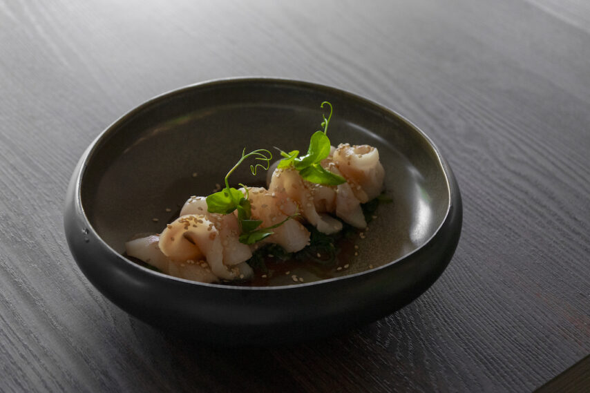 Sashimi ricciola